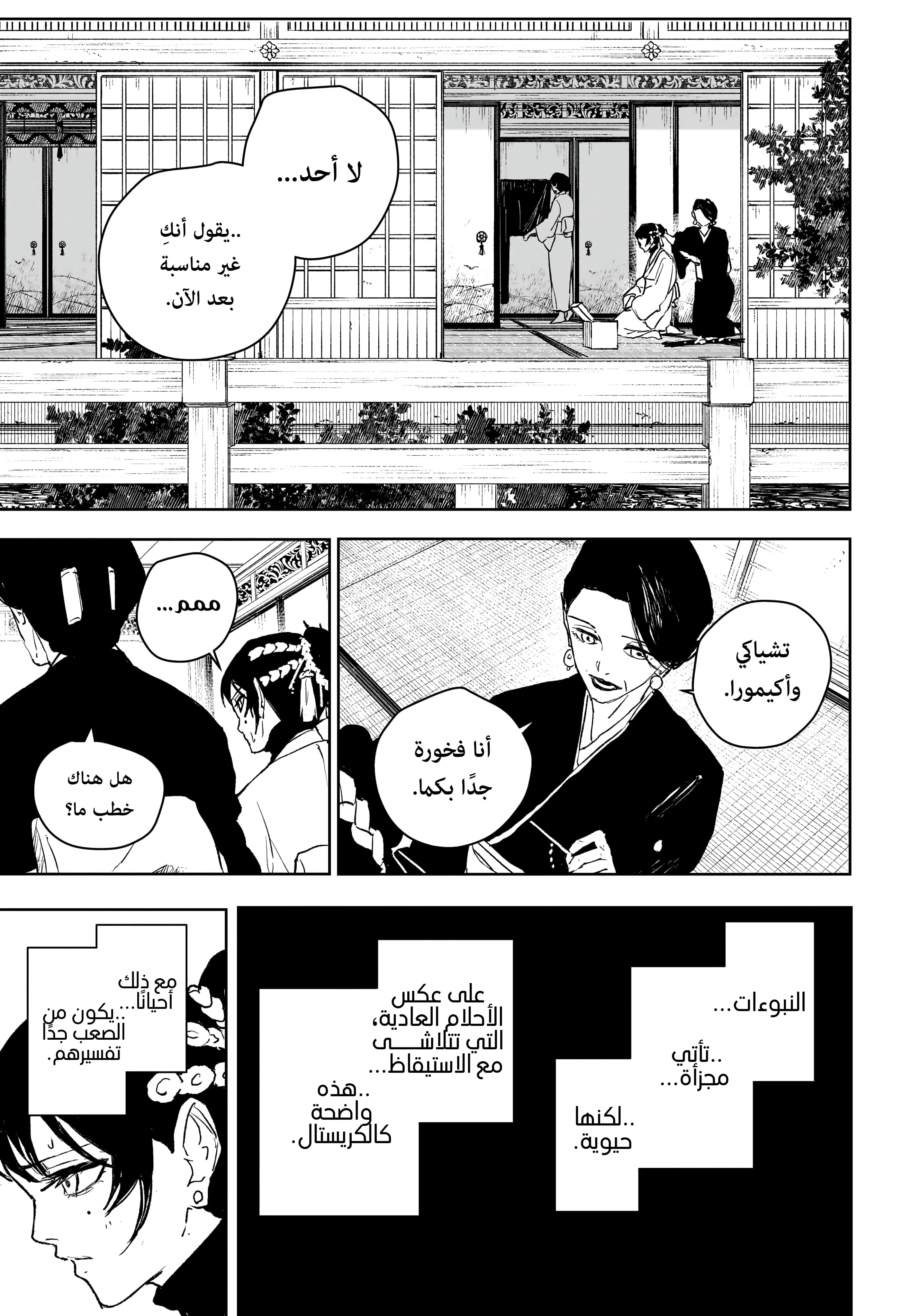صفحة 13