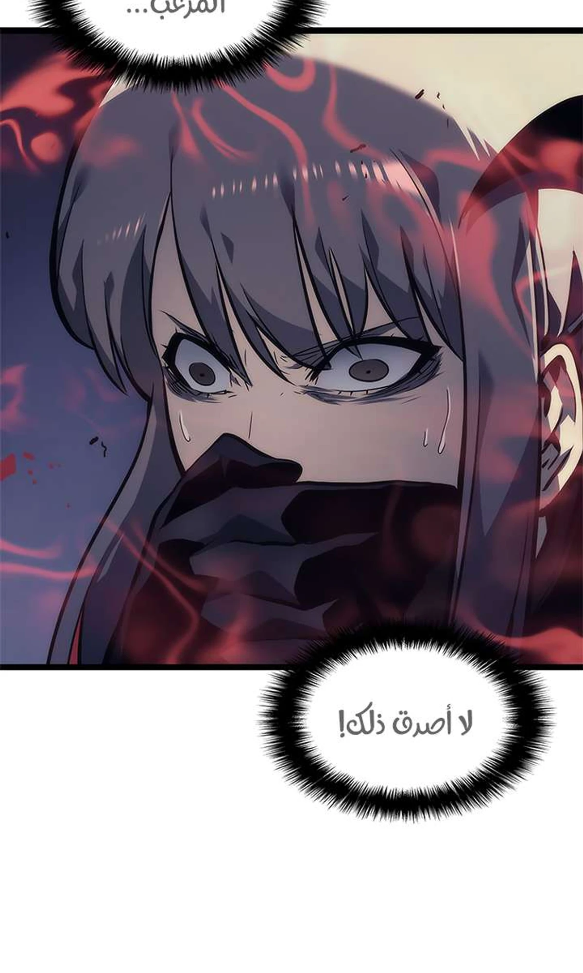 صفحة 13