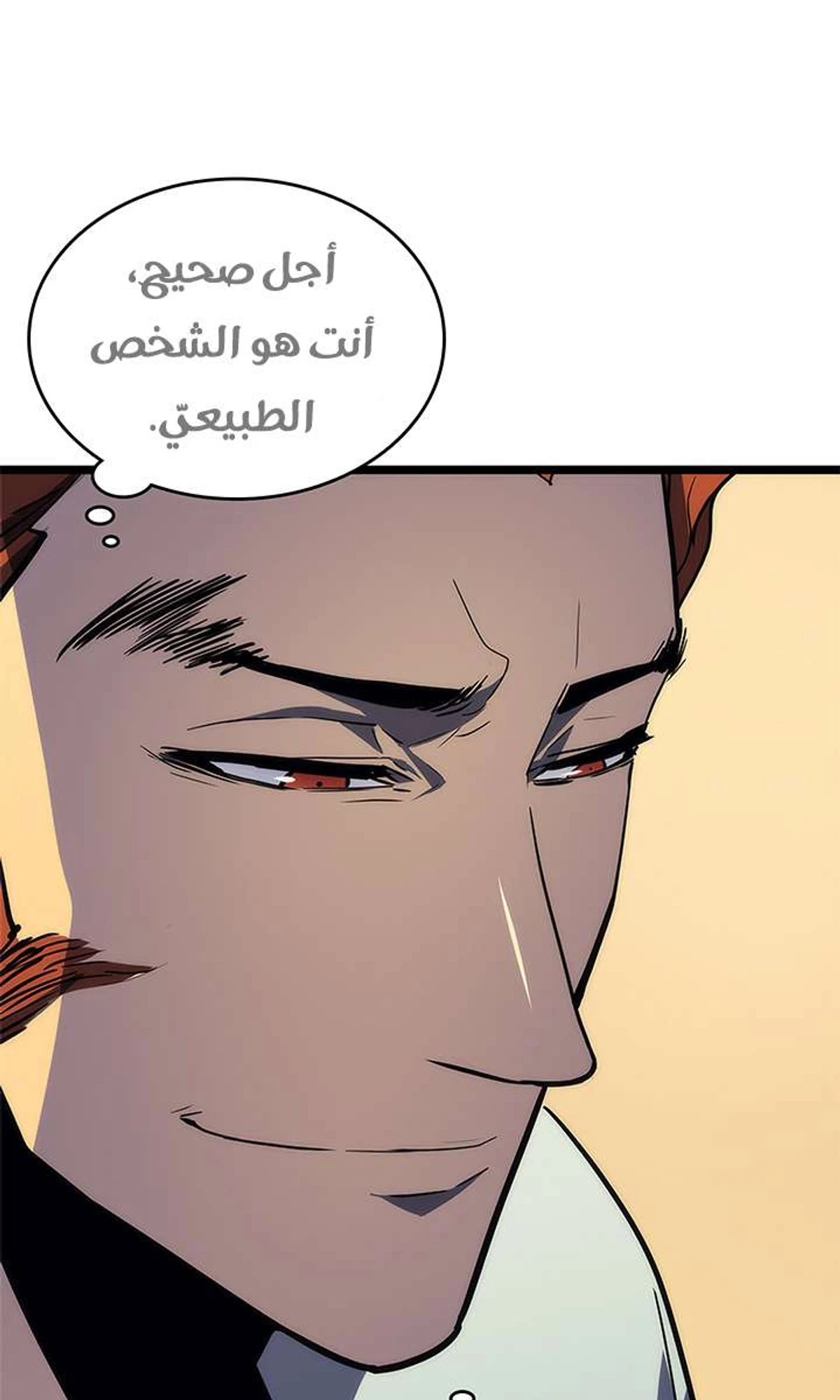 صفحة 33