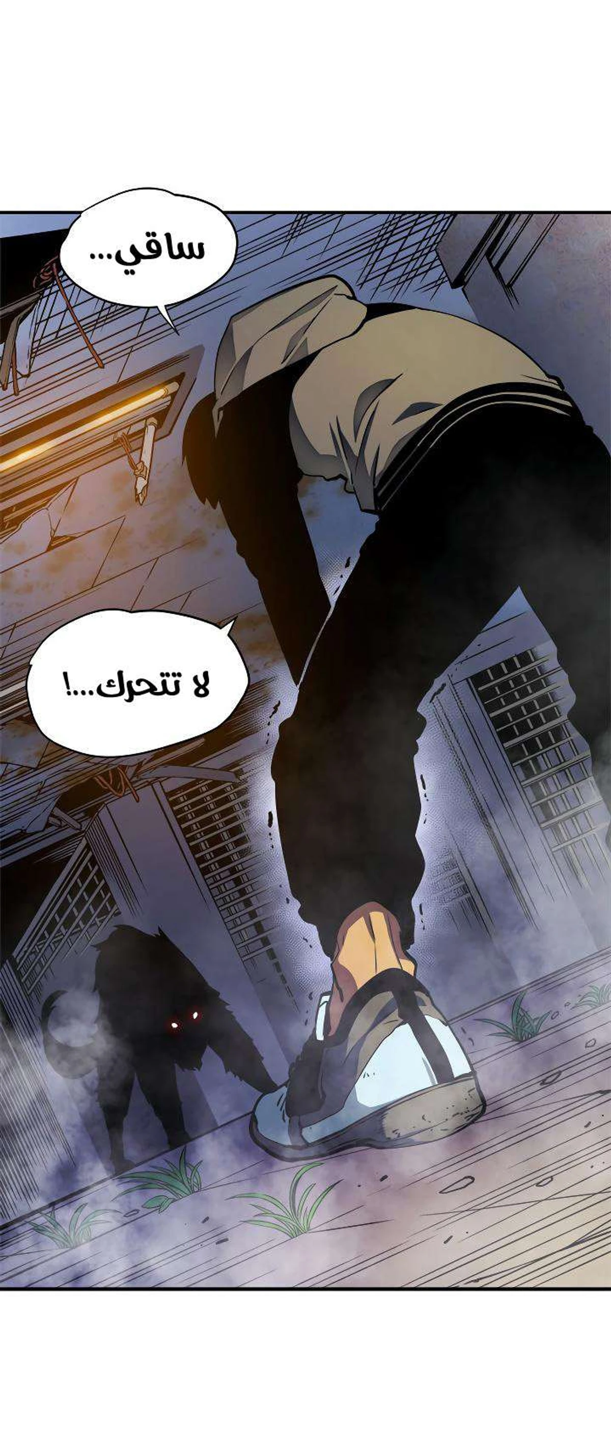 صفحة 21