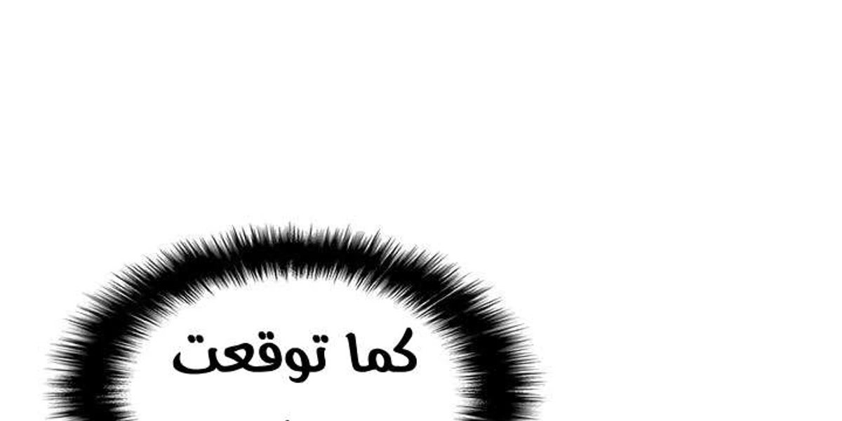 صفحة 17