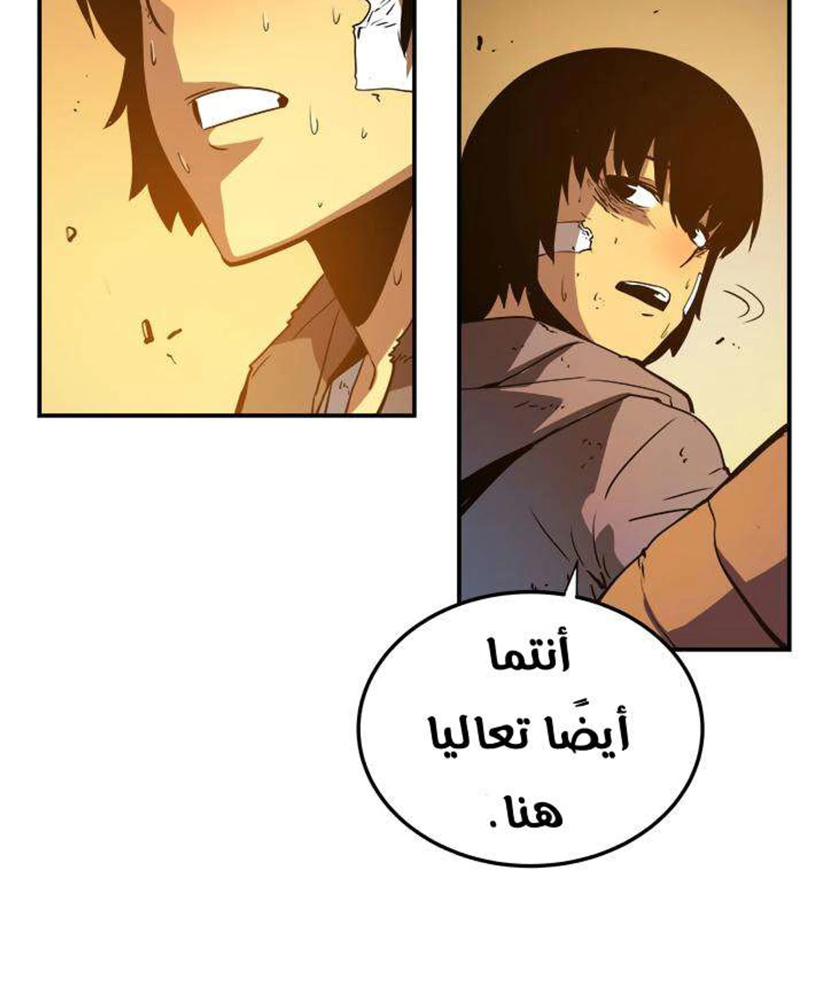 صفحة 73