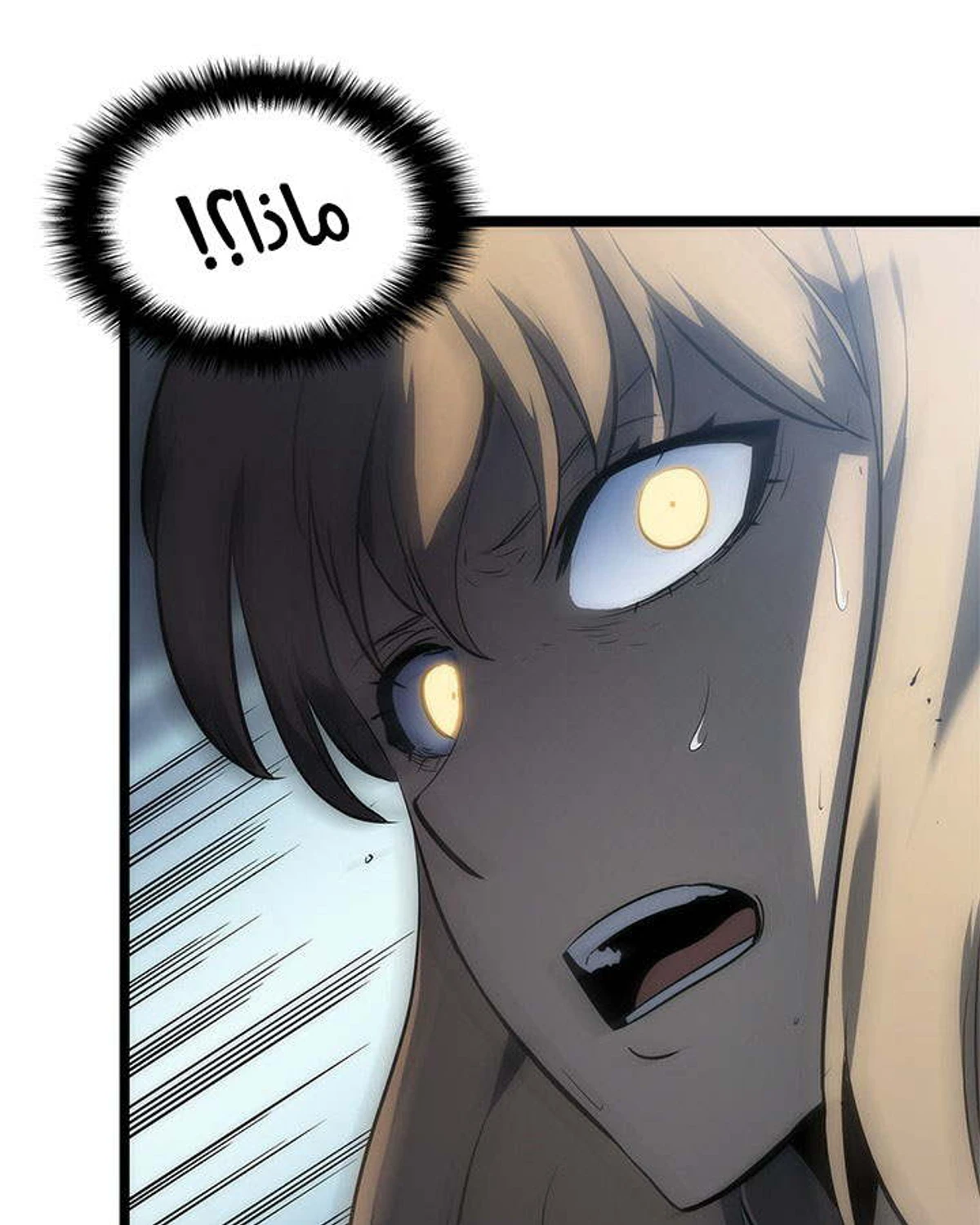 صفحة 27