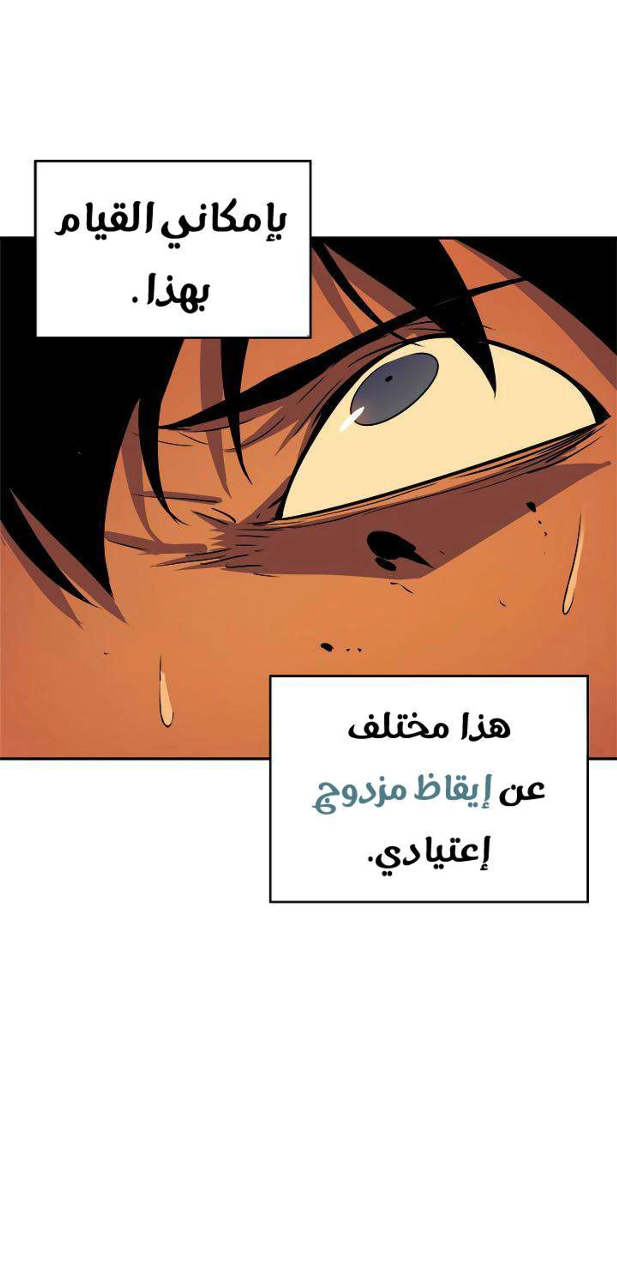 صفحة 48