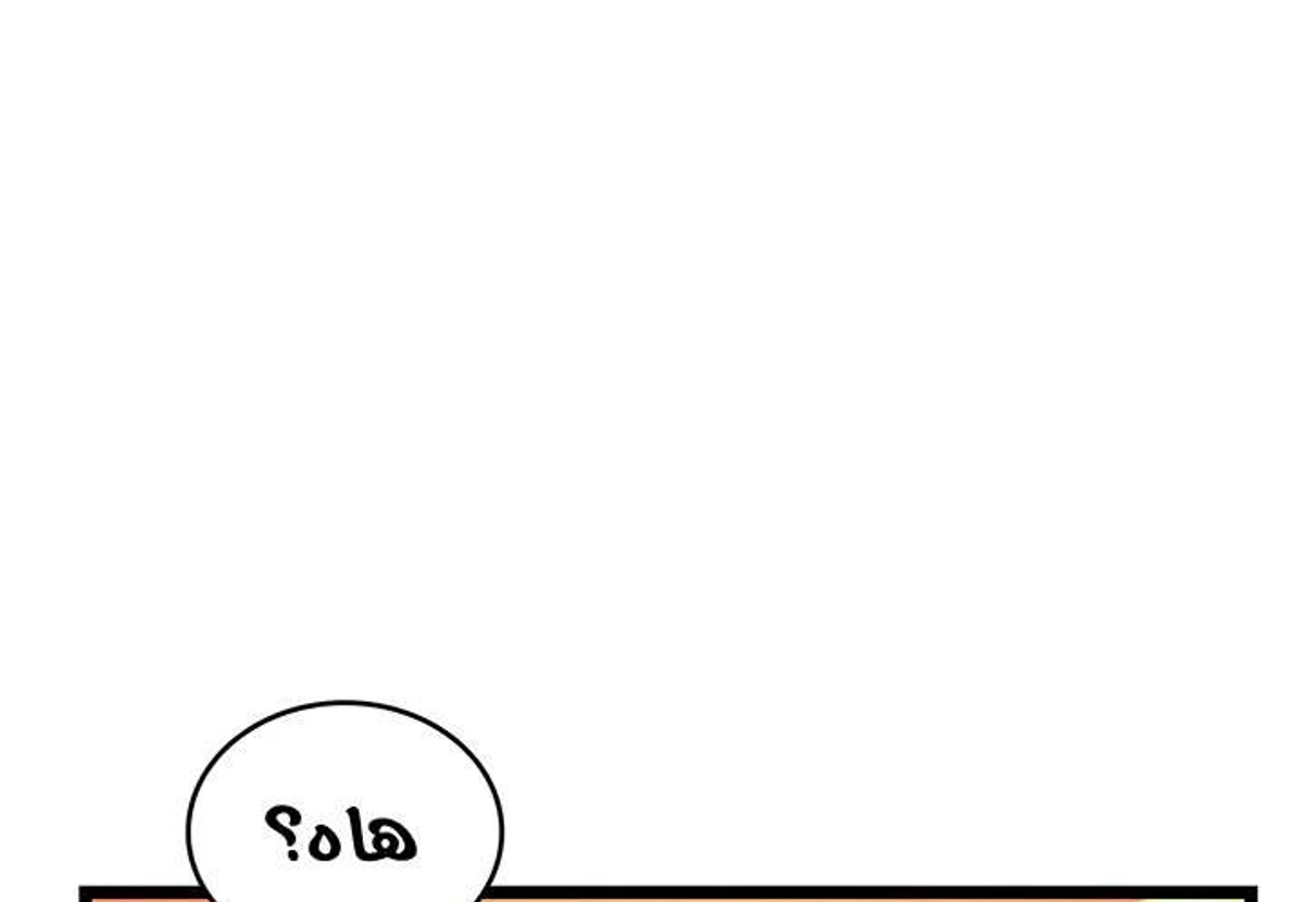 صفحة 13