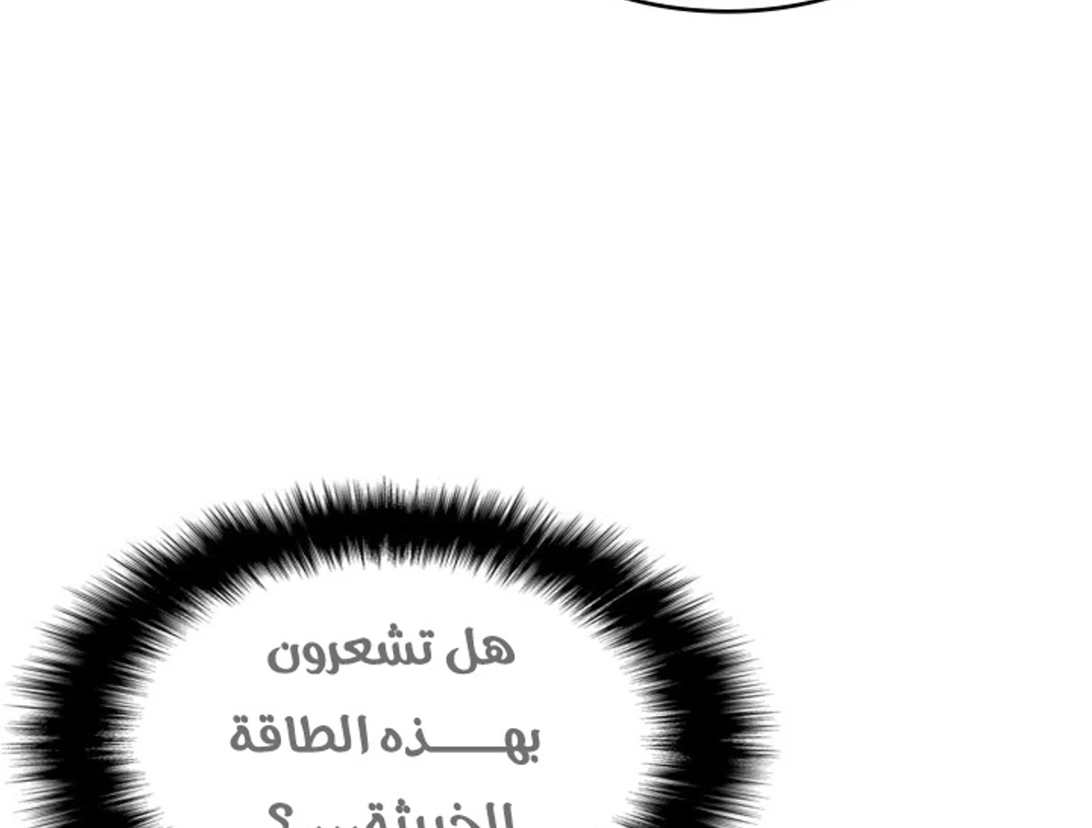 صفحة 13