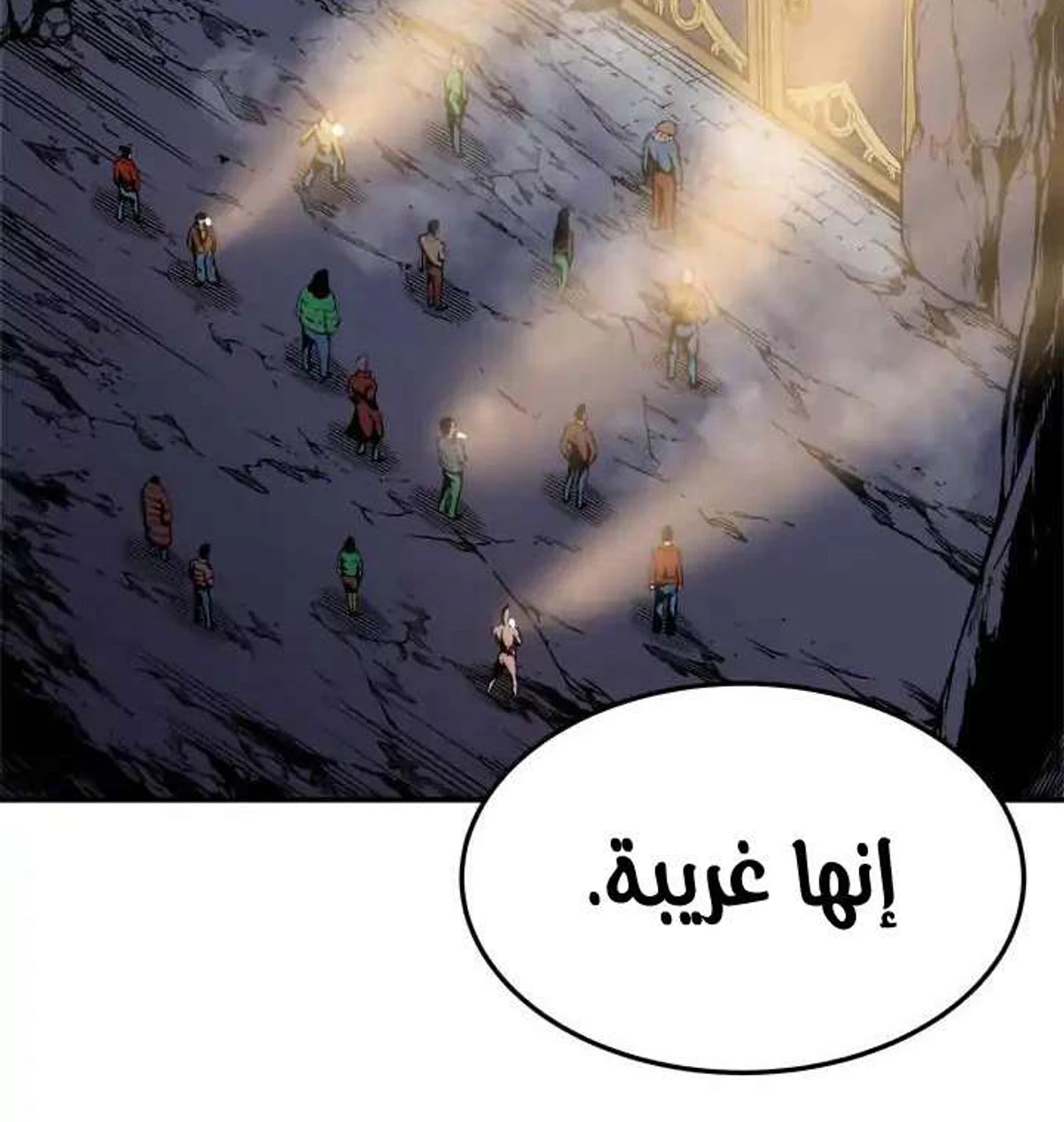 صفحة 17