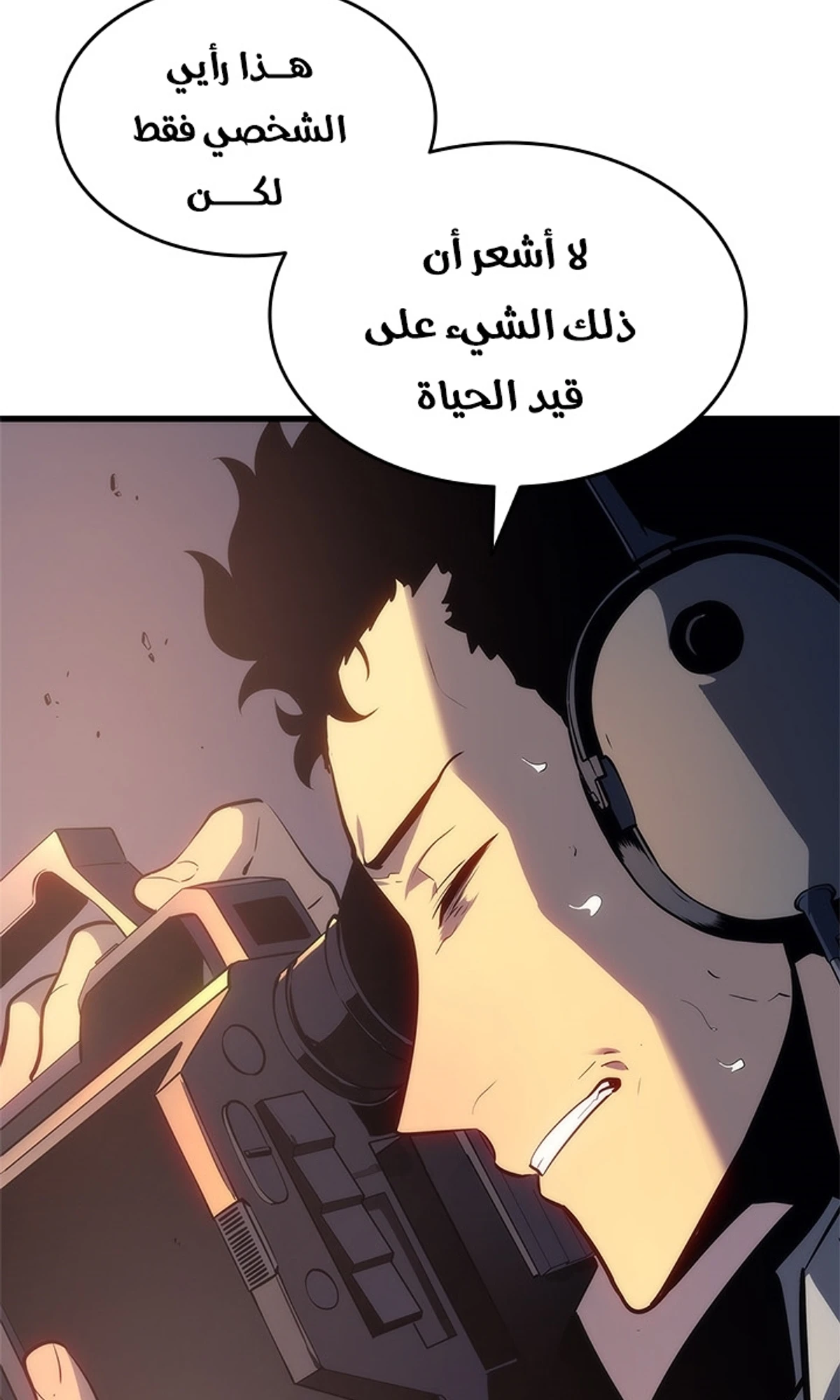 صفحة 13