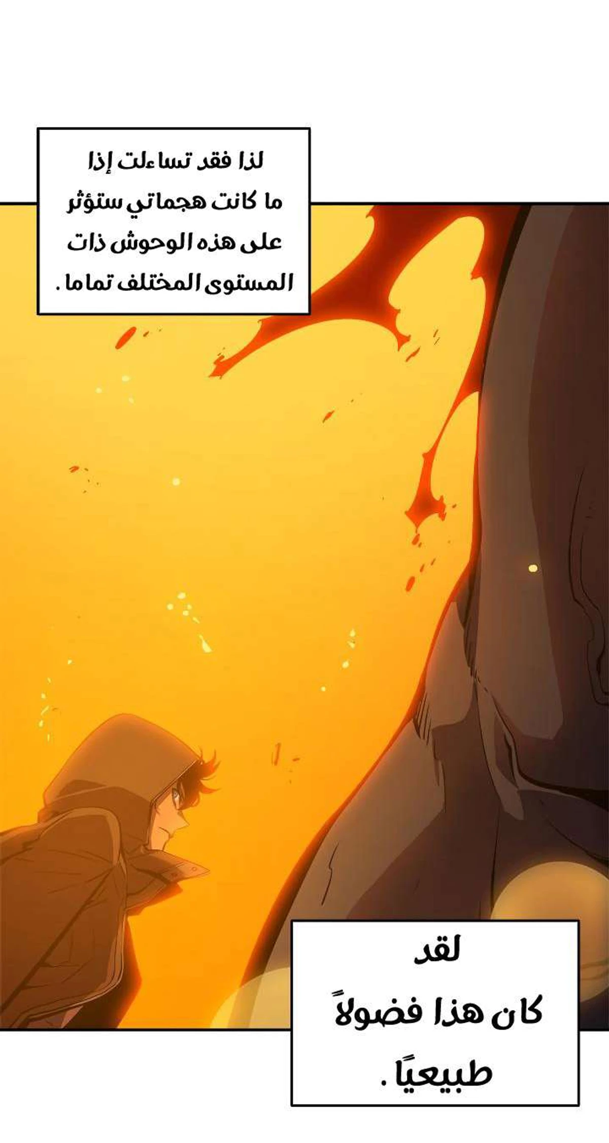 صفحة 20