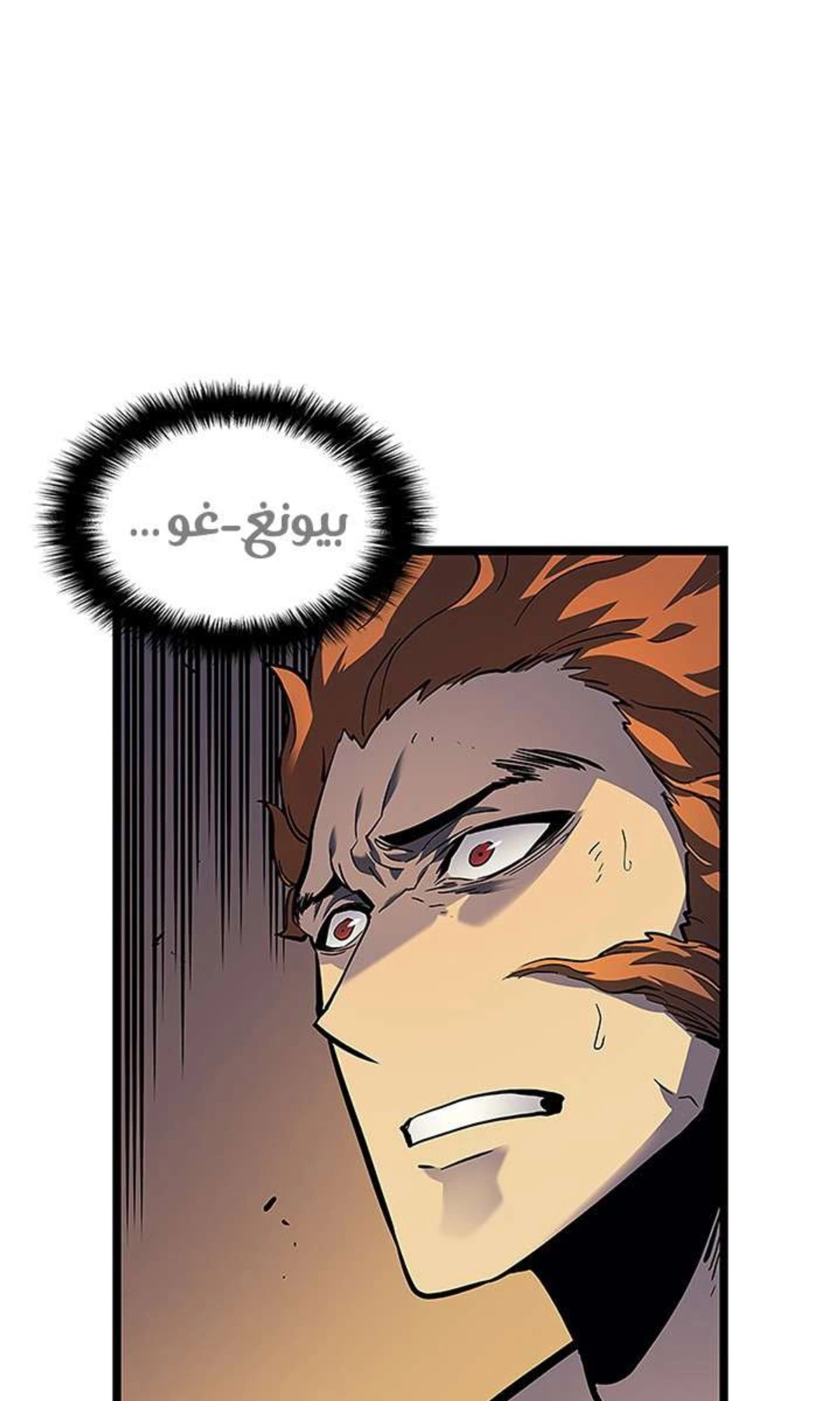 صفحة 11