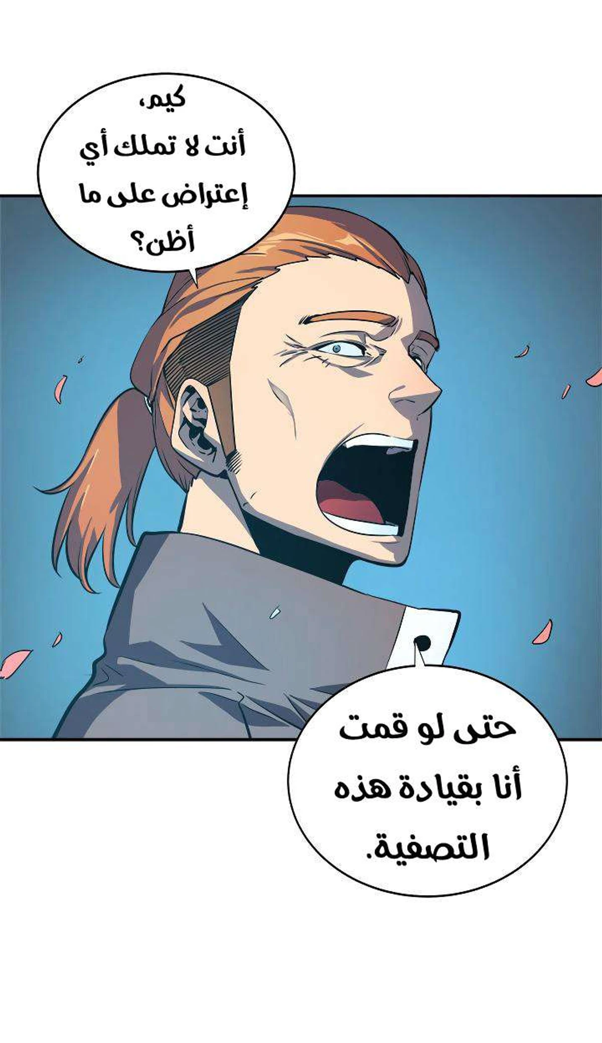 صفحة 13