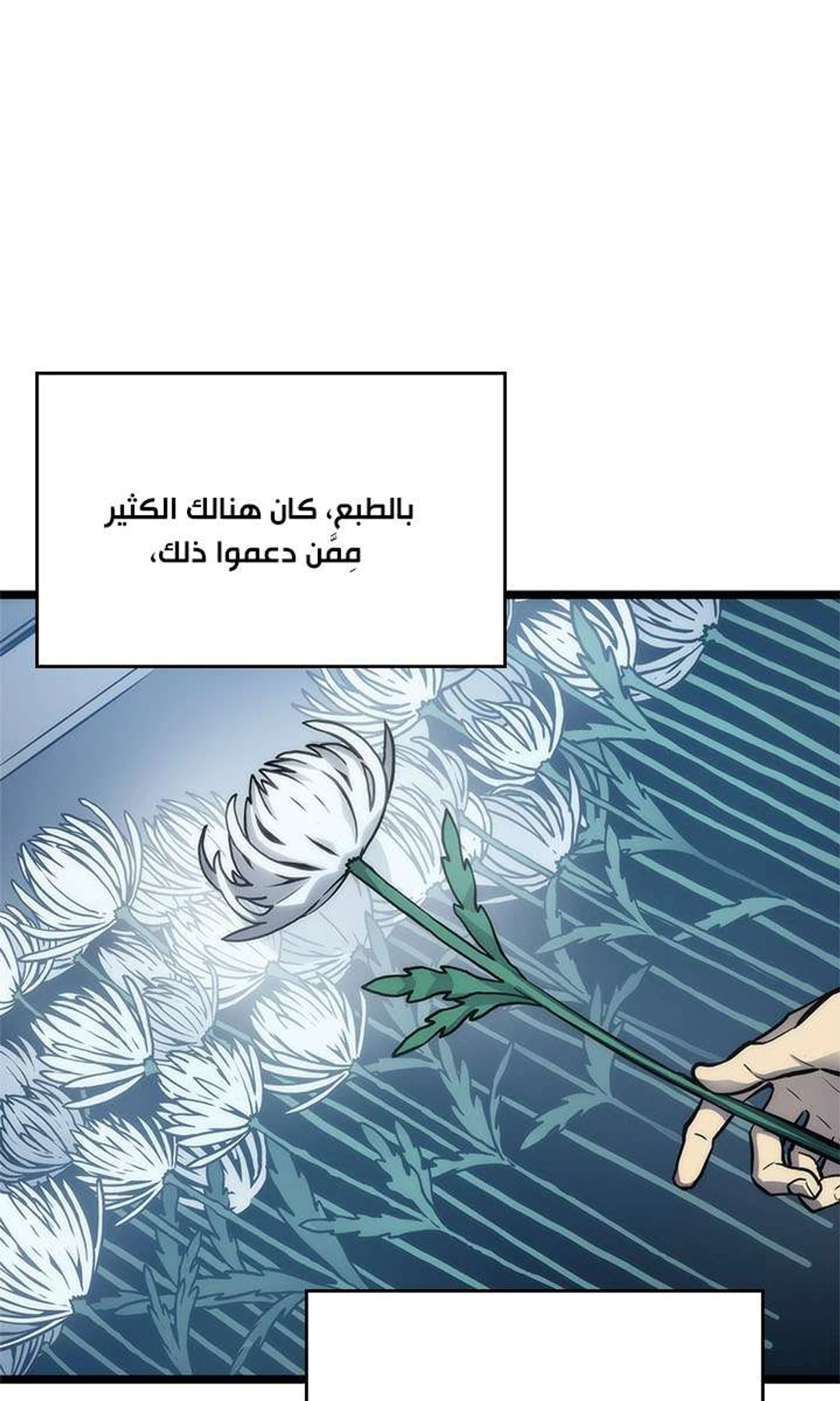 صفحة 11