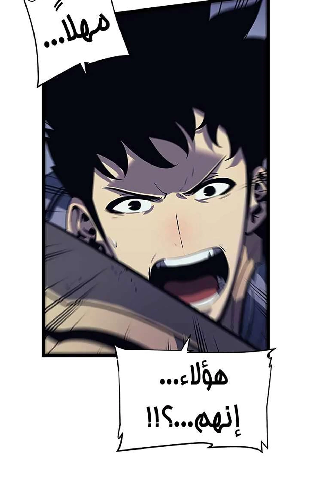 صفحة 5