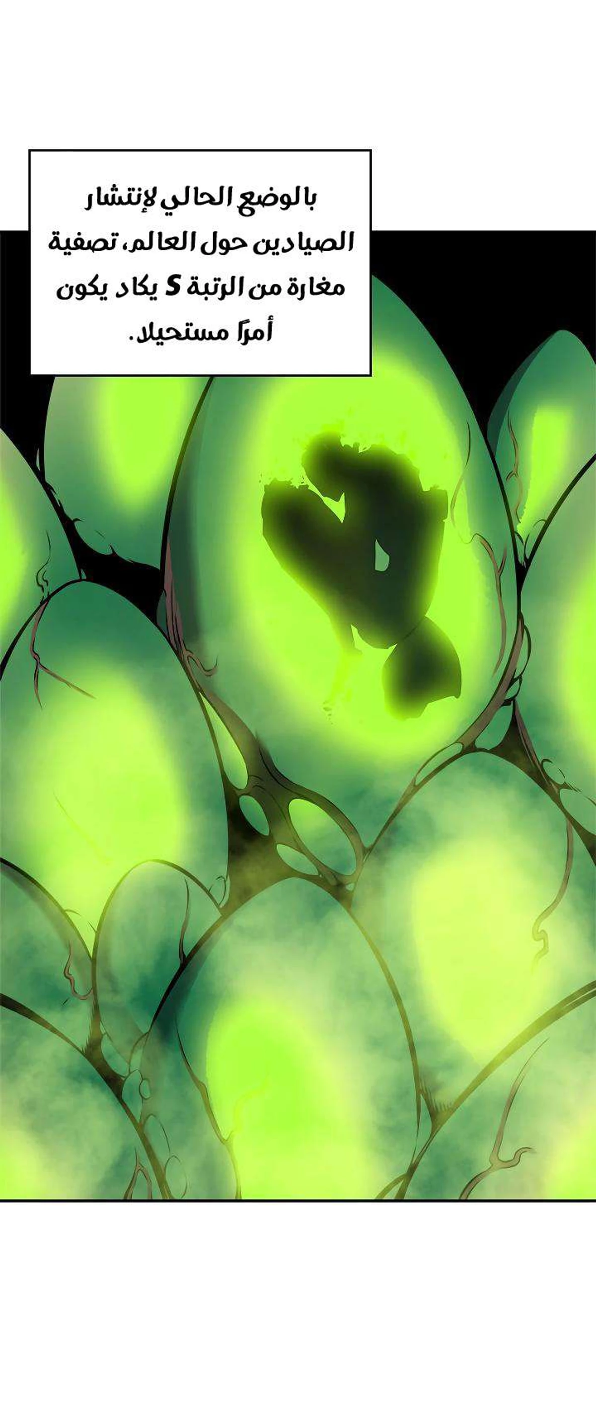 صفحة 14
