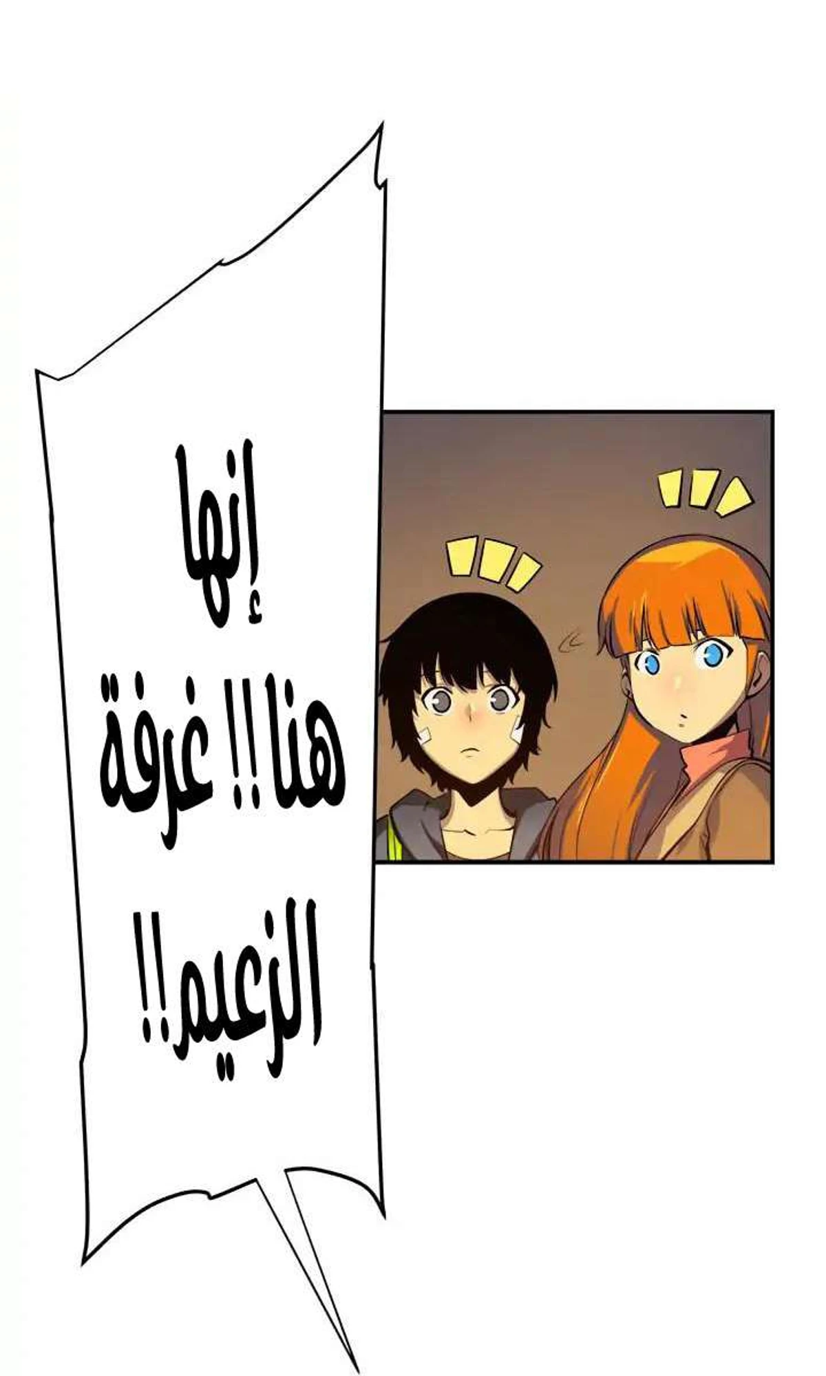 صفحة 15
