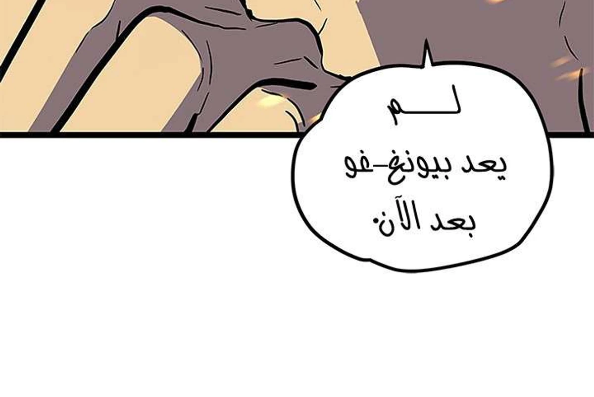 صفحة 17