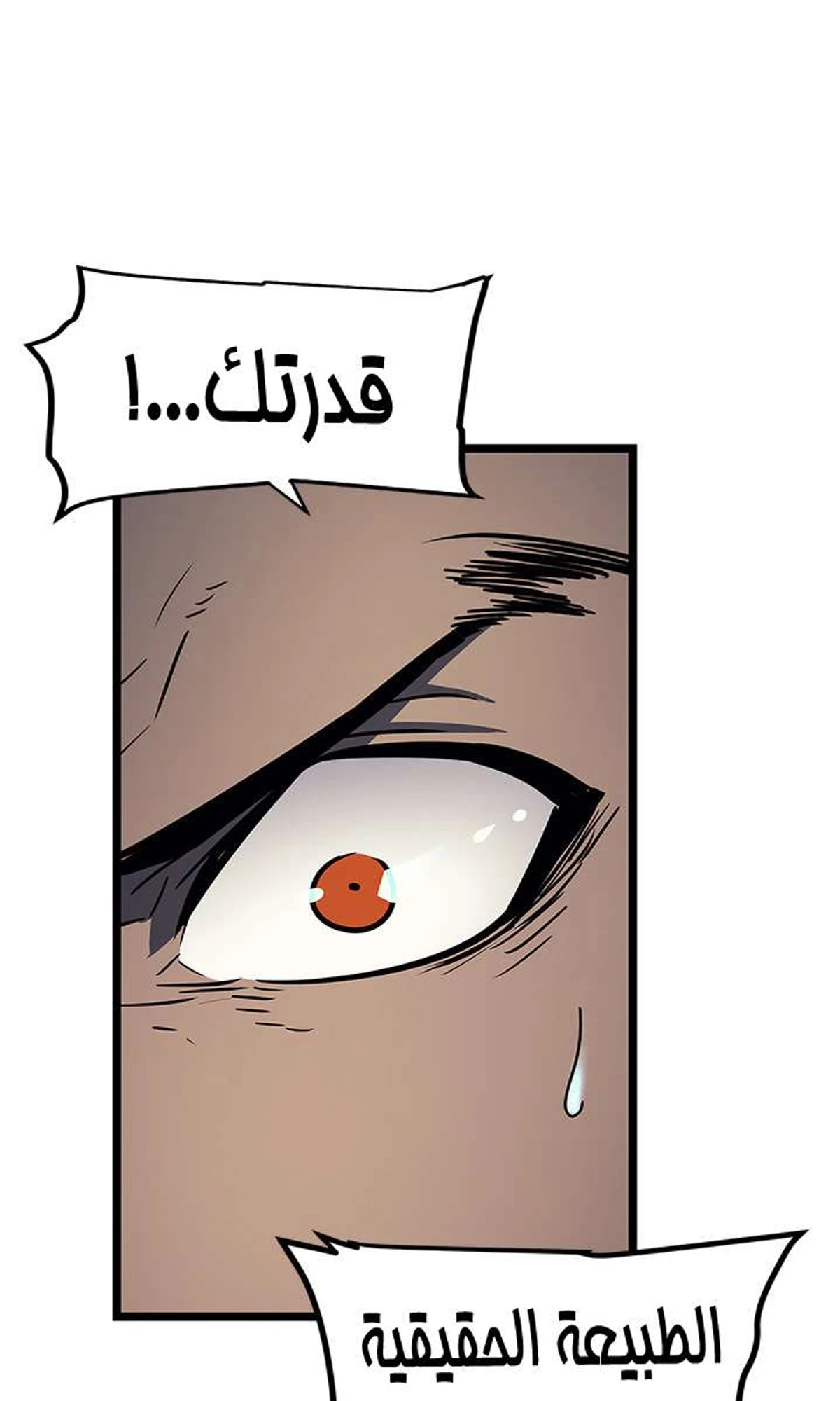 صفحة 98