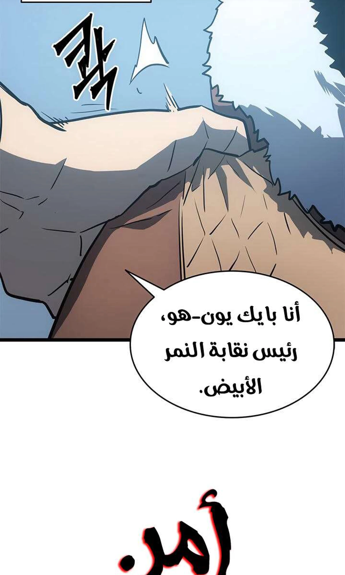صفحة 29