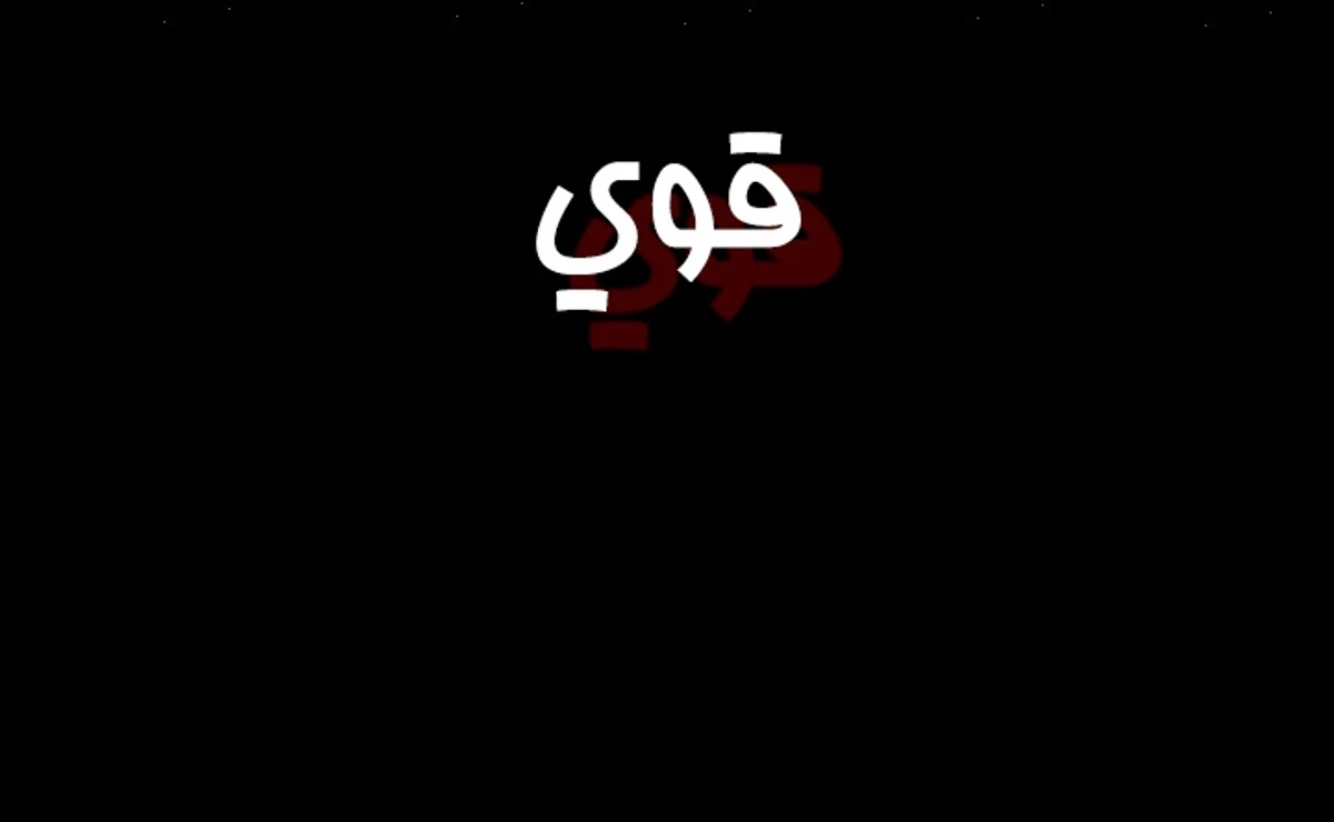 صفحة 11