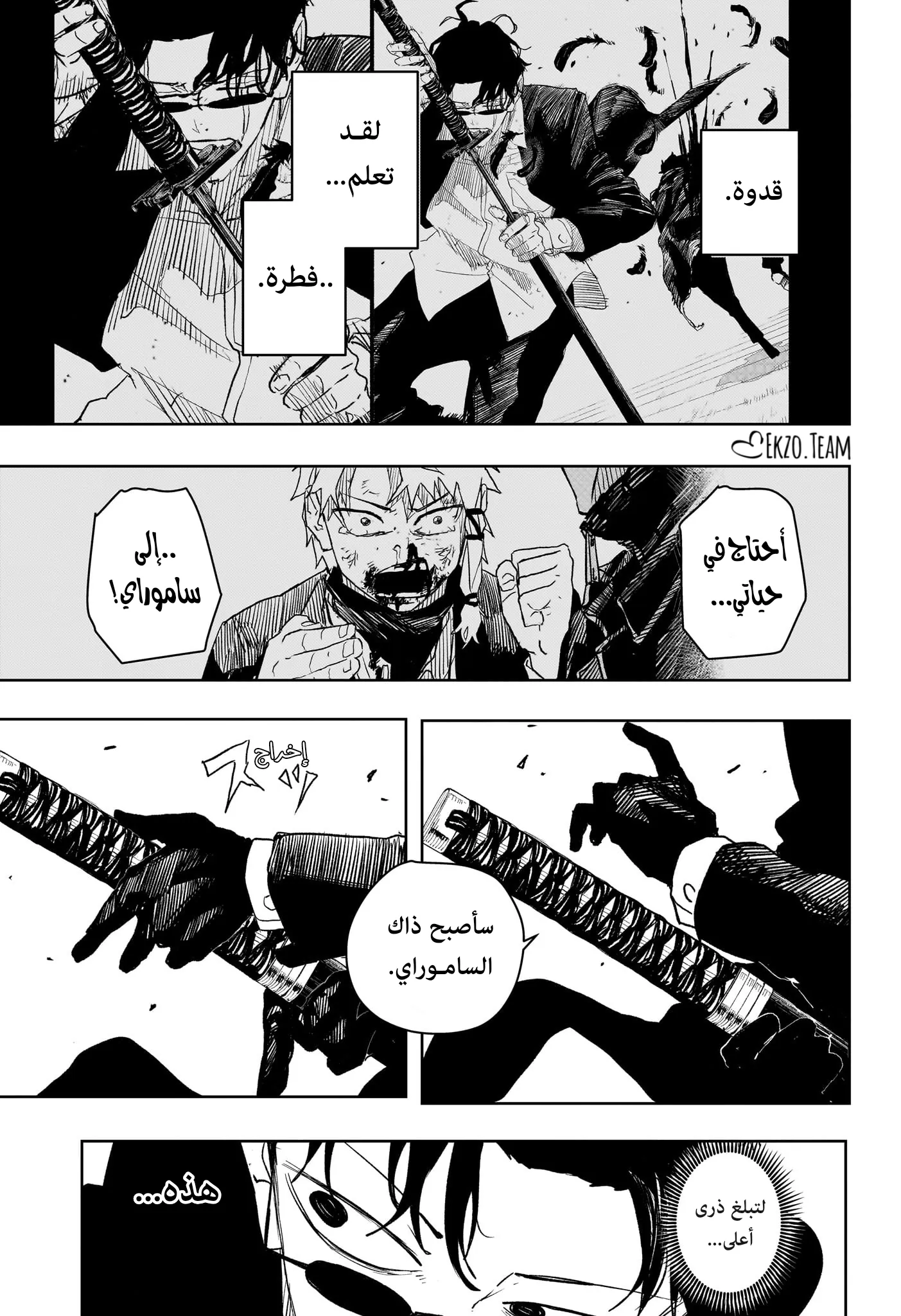 صفحة 13