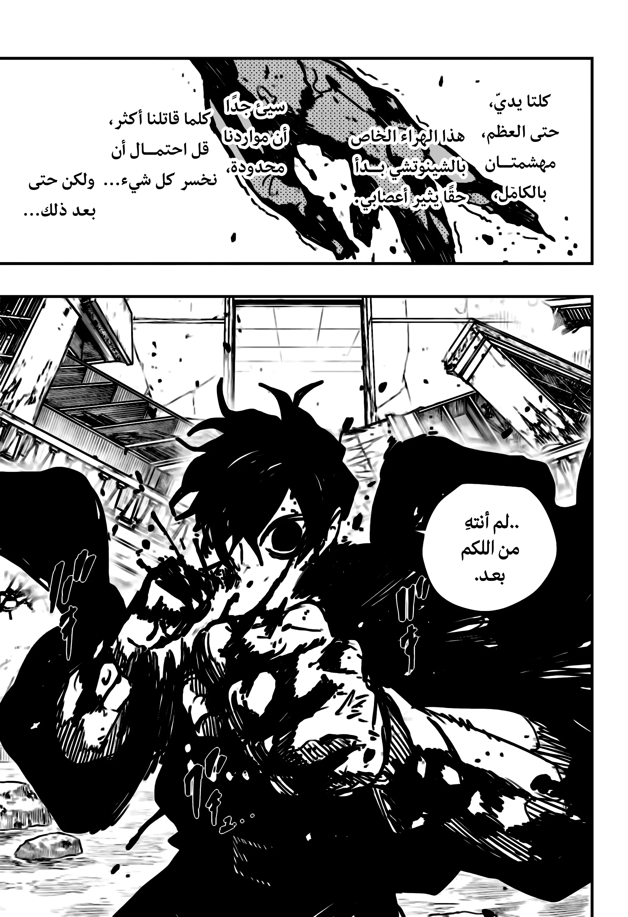 صفحة 17