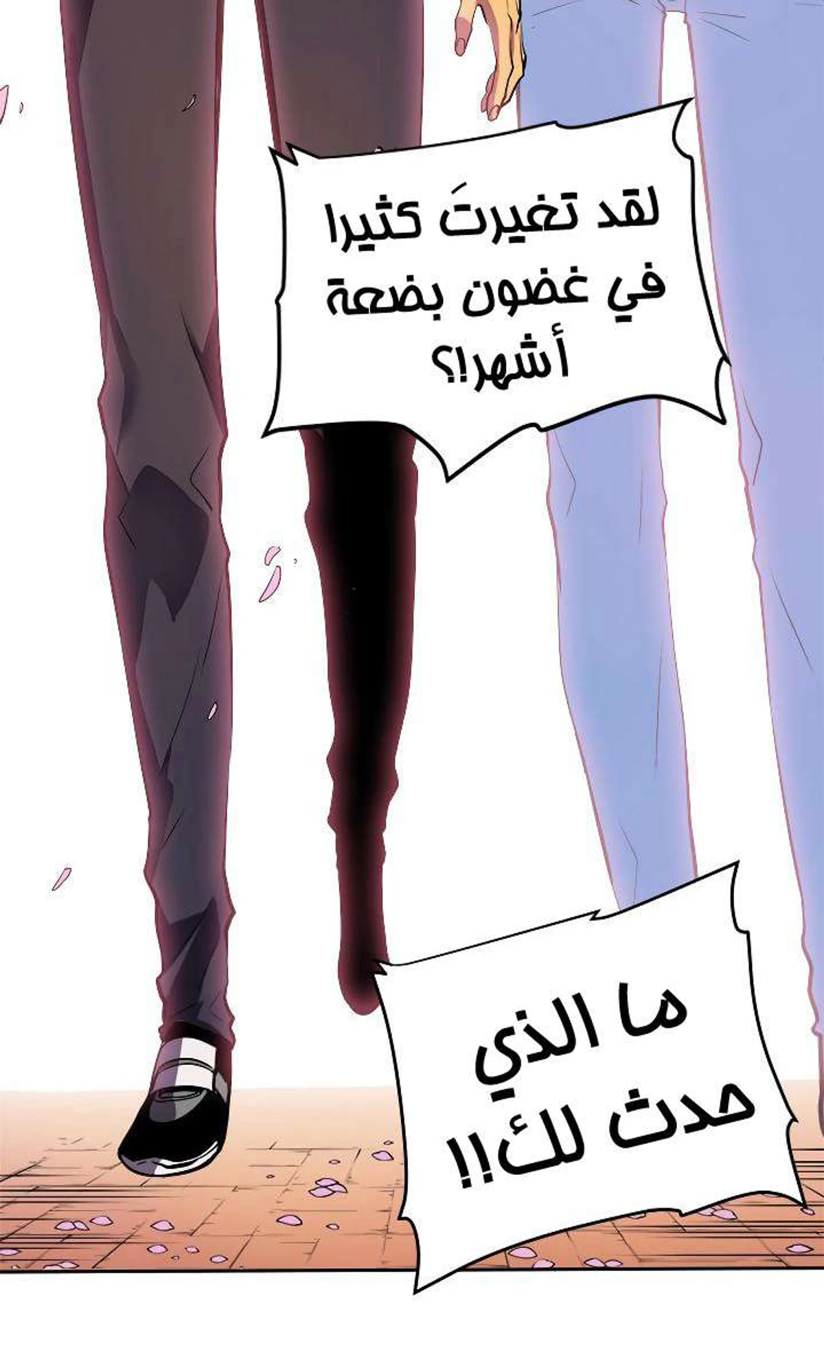 صفحة 30