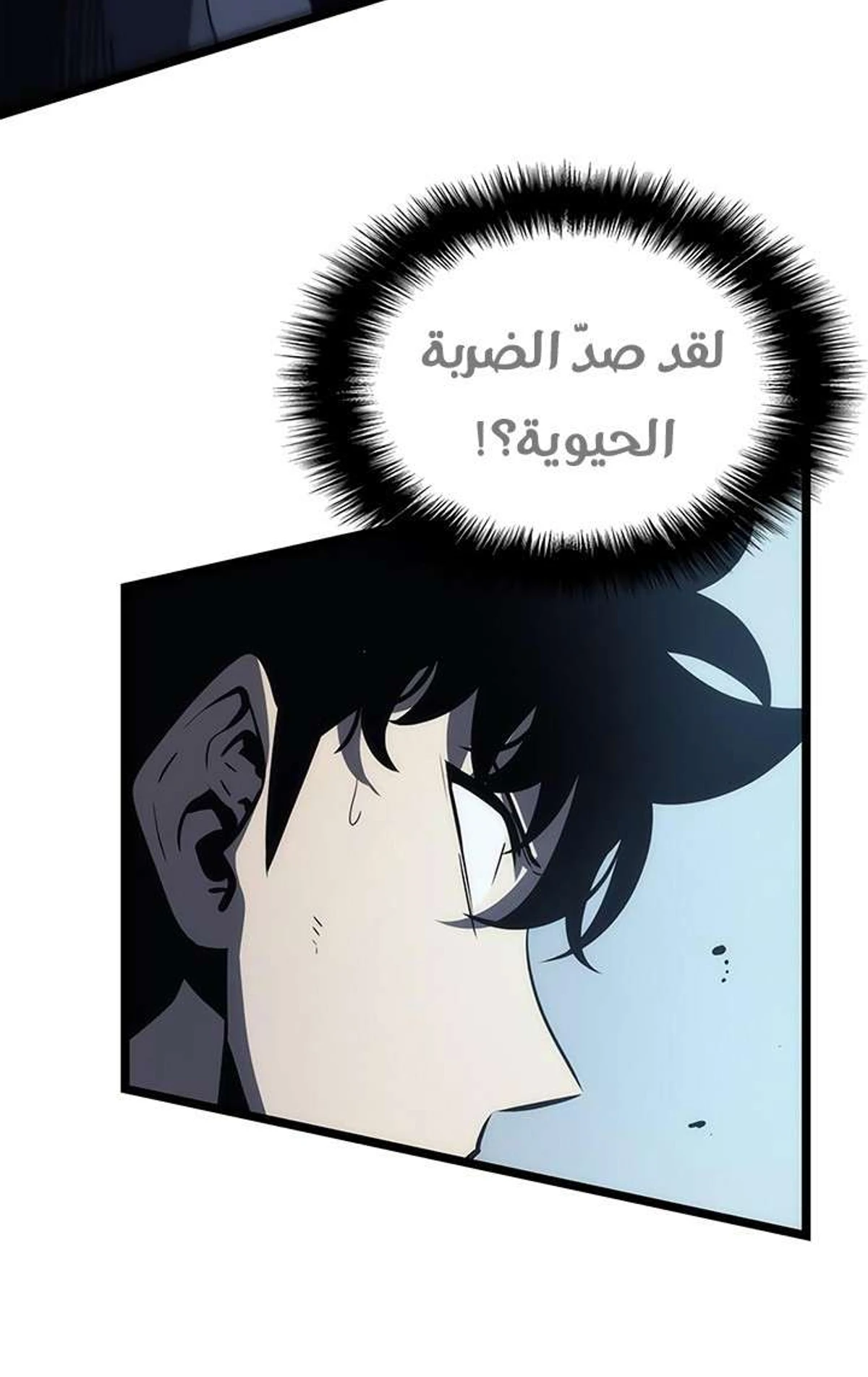 صفحة 41