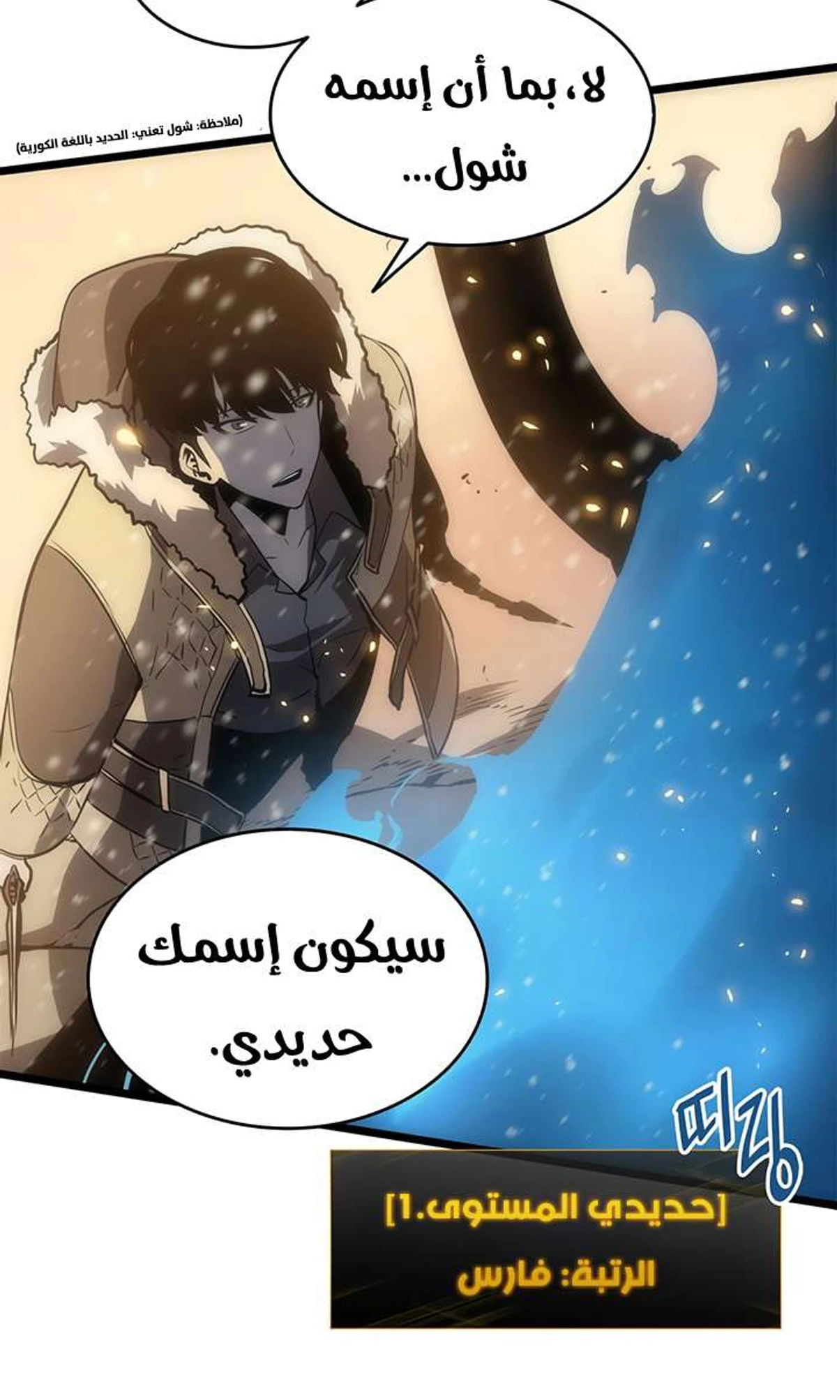 صفحة 17