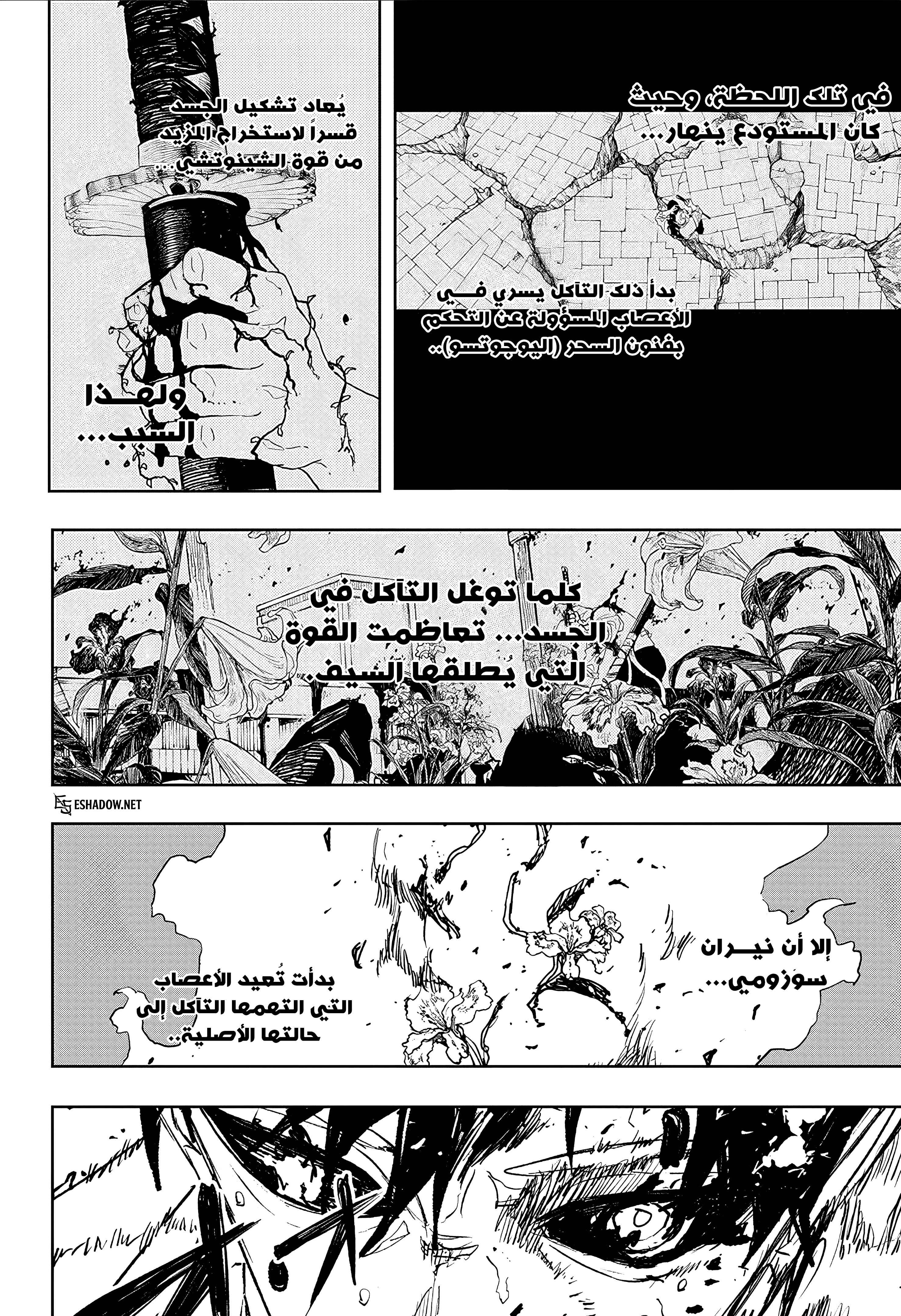 صفحة 5