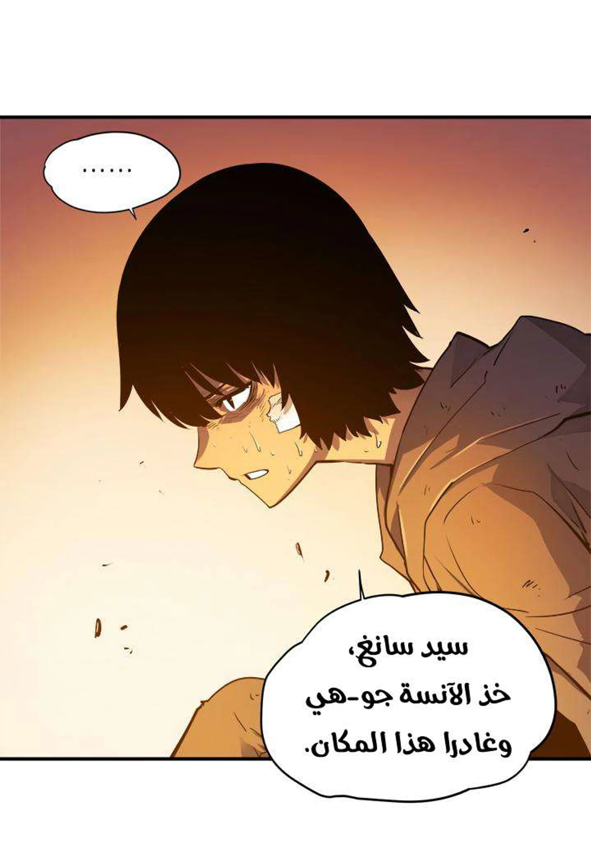 صفحة 19