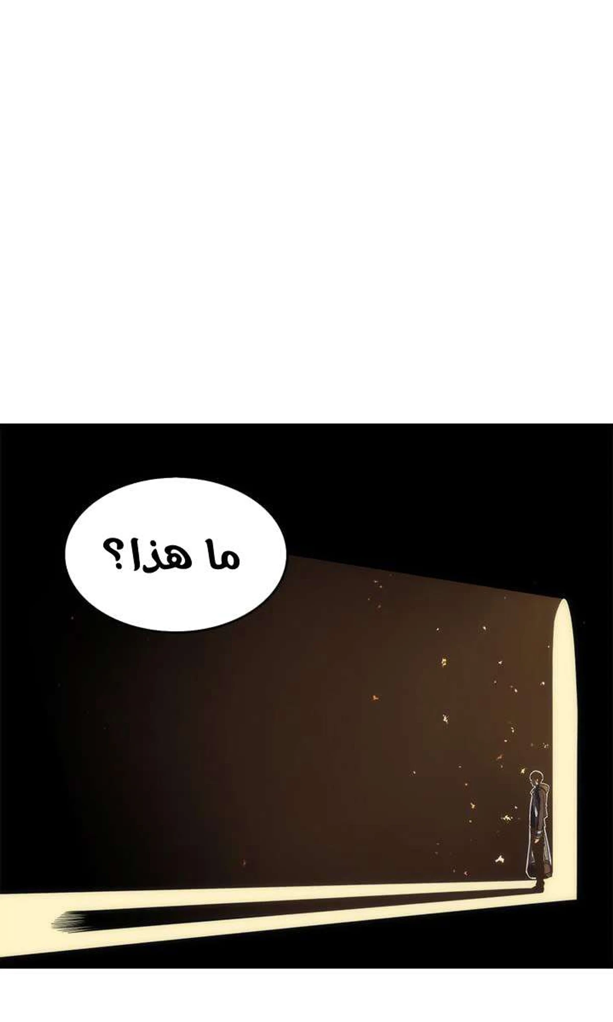 صفحة 17