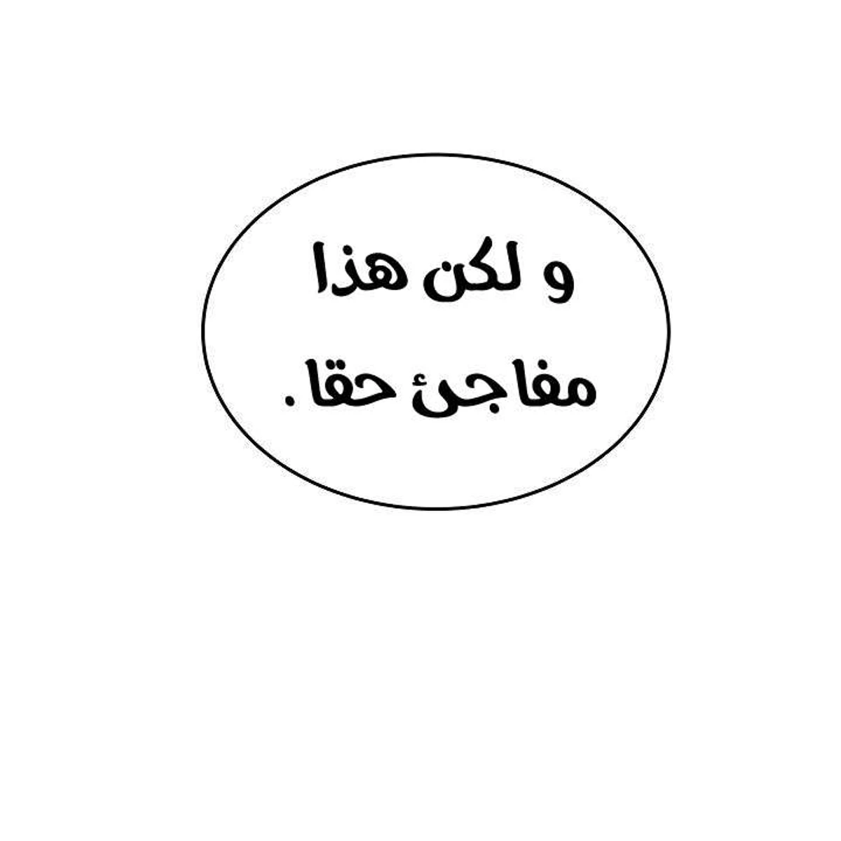 صفحة 17
