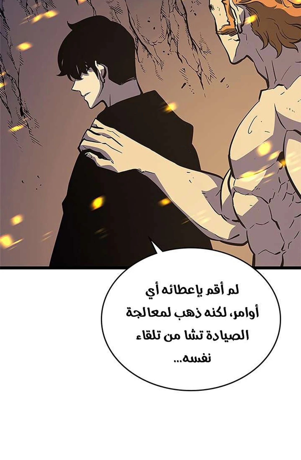 صفحة 13