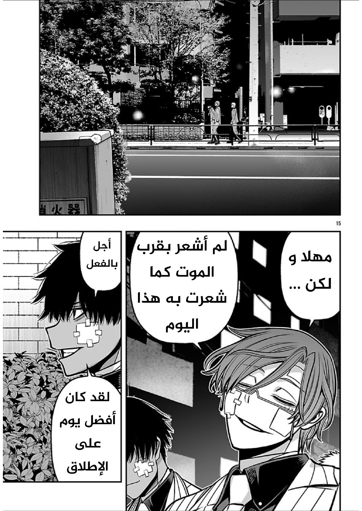 Page 15