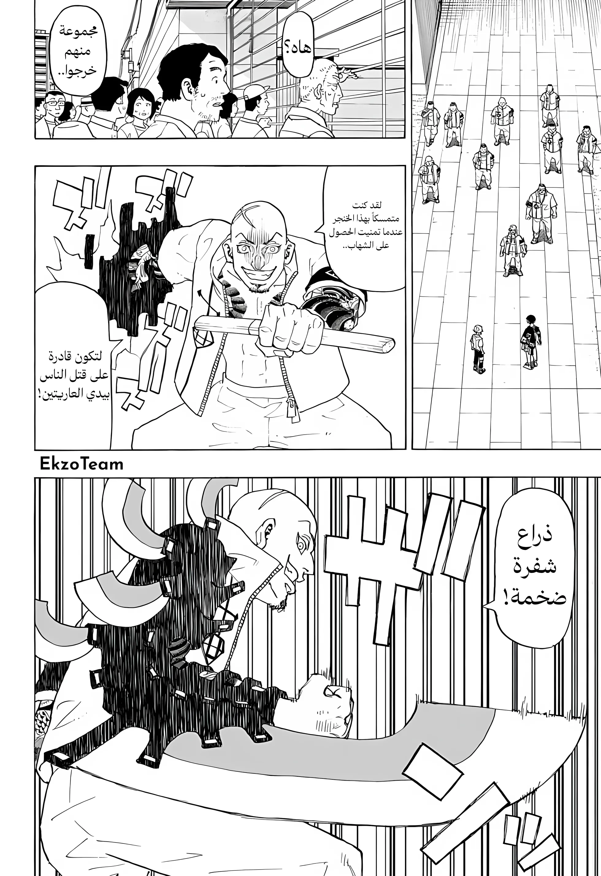 صفحة 13