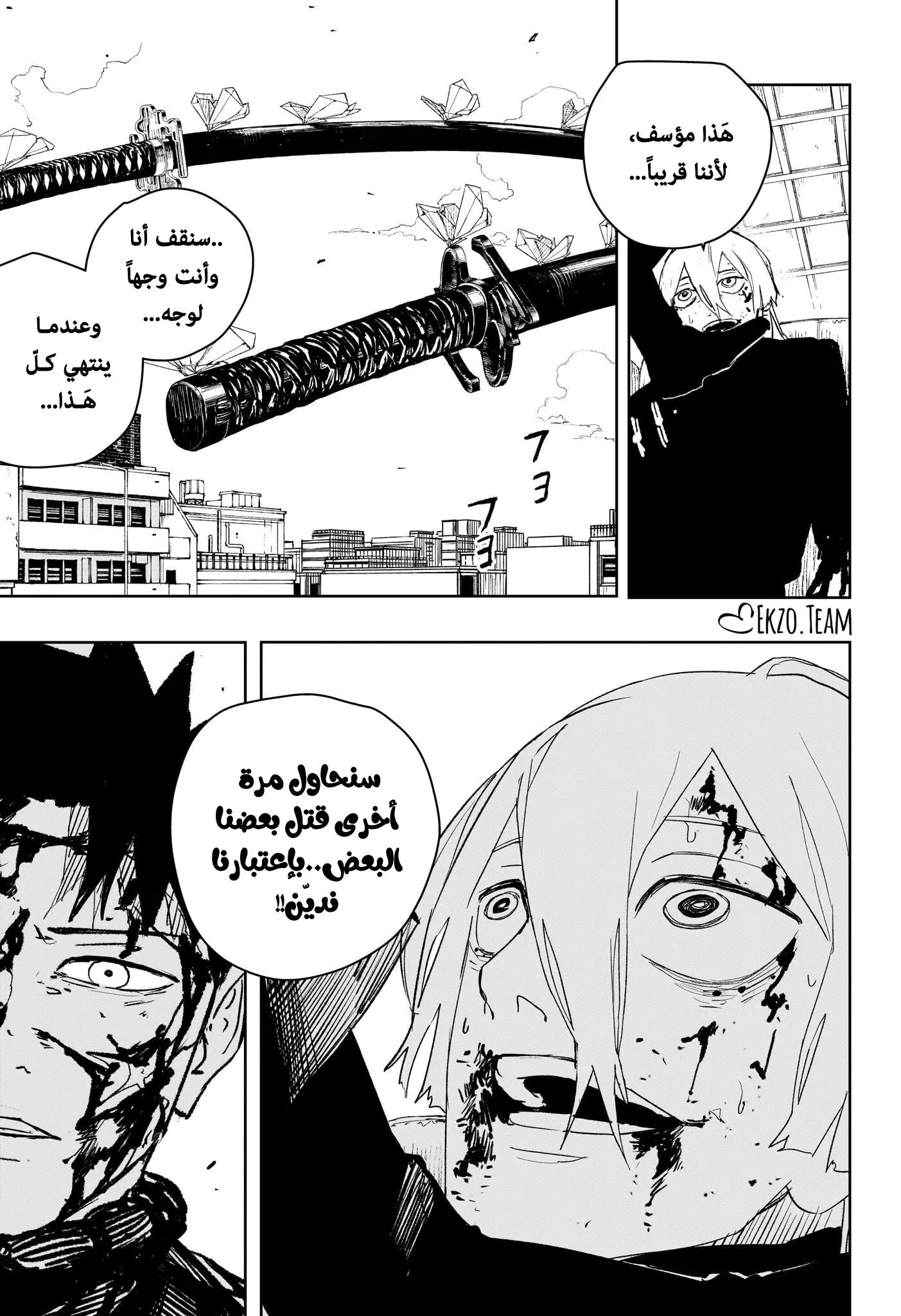 صفحة 13