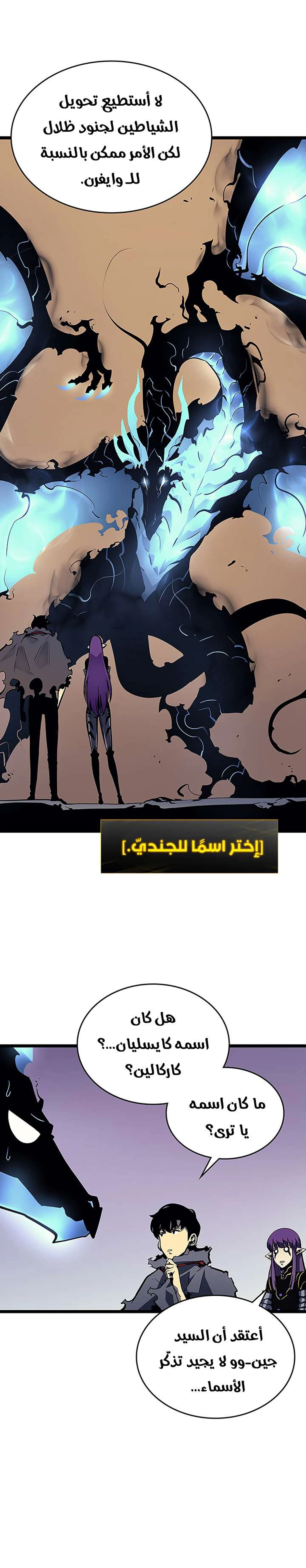 صفحة 13